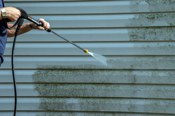 Best Gutter Cleaning  in Whitmore Lake, MI