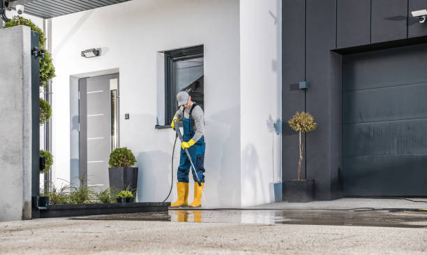 Best Driveway Pressure Washing  in Whitmore Lake, MI